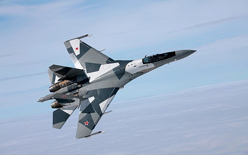 Sukhoi Su-27, pesawat militer, pesawat terbang, Angkatan Udara Rusia, Wallpaper HD HD wallpaper