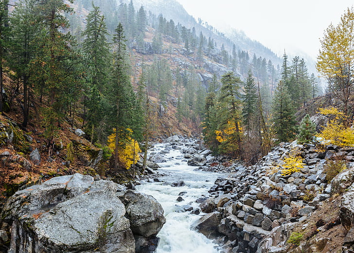 river surrounded by green leafed trees, River, Runs, green, trees, nature, landscape, water, Leavenworth, Pacific Northwest, Canon EOS 5D Mark III, III  john, westrock, Canon EF, 70mm, f/2, USM, washington, forest, mountain, autumn, scenics, tree, outdoors, rock - Object, beauty In Nature, HD wallpaper