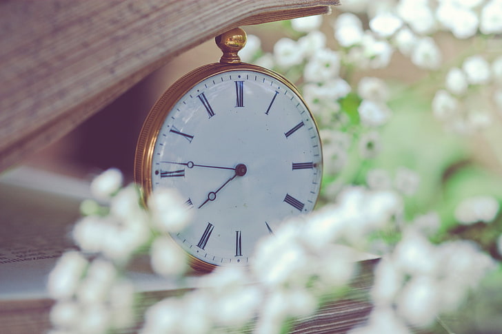 round gold-colored pocket watch, clock, flowers, dial, HD wallpaper