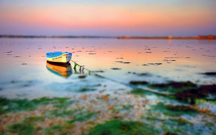 Small Boat at Shore with Tilt Shift , white and blue rowboat, Nature, Scenery, HD wallpaper