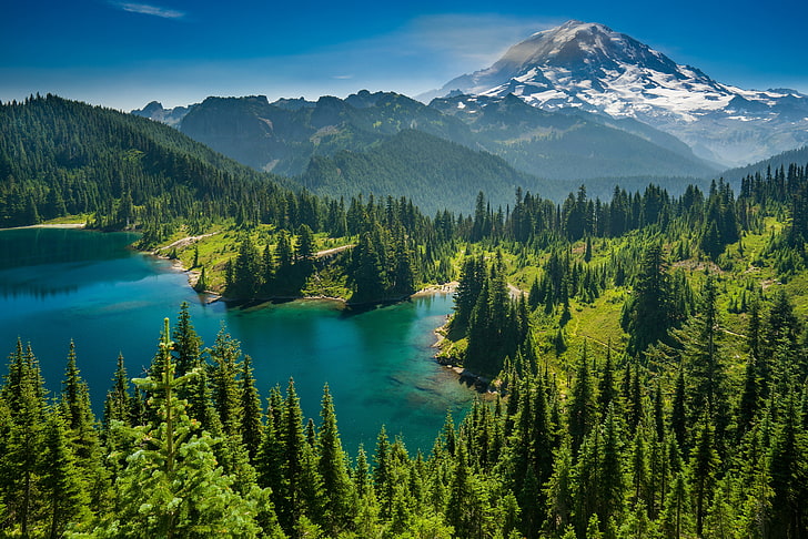 ต้นสนสีเขียว, ป่า, ต้นไม้, ภูเขา, ทะเลสาบ, Mount Rainier, ภูเขาน้ำตก, ทะเลสาบ Eunice, รัฐวอชิงตัน, Cascade Range, Washington, Lake Eunice, วอลล์เปเปอร์ HD