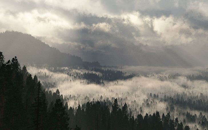 Холодное утро в горах, нимбовые облака, природа, 1920x1200, облако, гора, HD обои