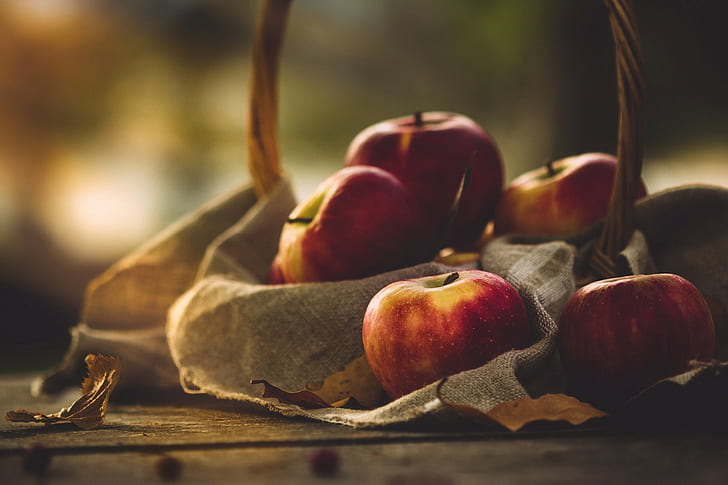 plants, apples, fruit, food, HD wallpaper