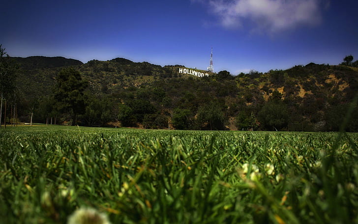 lawn, Grass, Hollywood, HD wallpaper