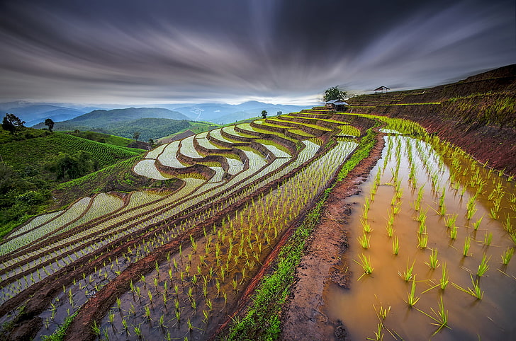 rice terraces, the sky, water, sprouts, the slopes, excerpt, Thailand, rice fields, HD wallpaper