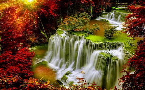 Cascade Falls-Autumn-forest-red leaves-sunlight-Desktop HD Wallpaper for Mobile phones-Tablet and PC-2560×1600, HD wallpaper HD wallpaper