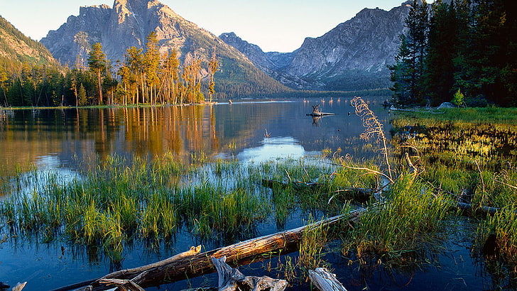 Национальный парк Гранд-Титон Озеро Джексон под горой Моран, США Штат Вайоминг Пейзаж Обои Hd 3840 × 2160, HD обои