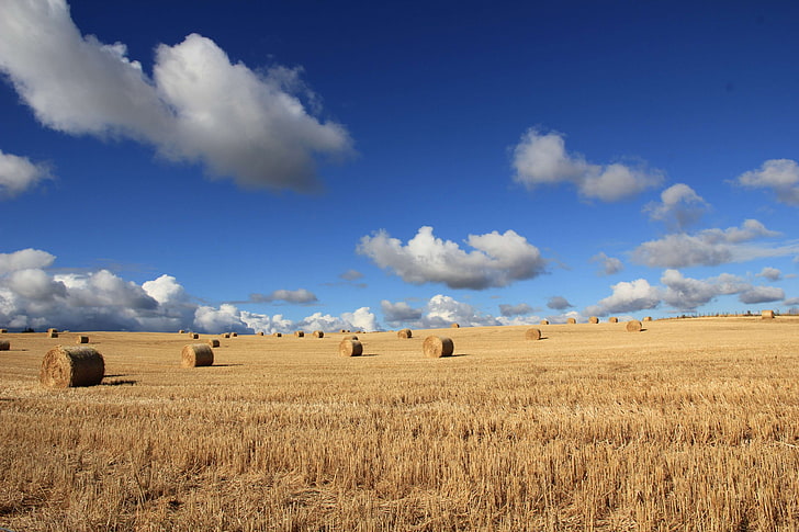 clouds, countryside, crop, farm, farmland, field, hay bales, hay field, landscape, pasture, rural, sky, straw, HD wallpaper