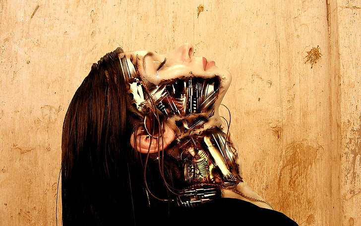 Frau mit Roboter Skin Artwork, Terminator, Terminator: Die Sarah Connor Chroniken, Roboter, Androiden, HD-Hintergrundbild