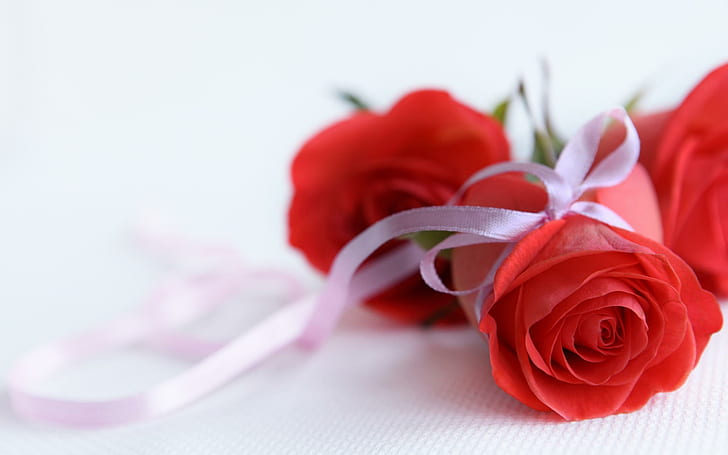 Любовь - это букет красных красных роз, ленты, романтика, страсть, цветы, романтика, валентинка, красные розы, розы, ленты, цветок, HD обои