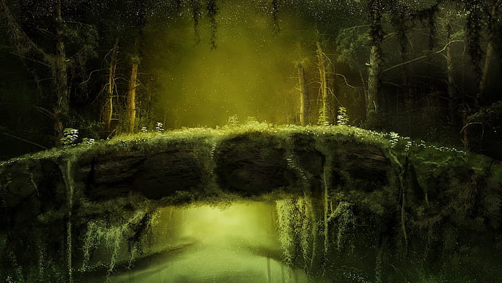 Dämmerung, Moos, Dschungel, Grün, Wald, Regenwald, HD-Hintergrundbild