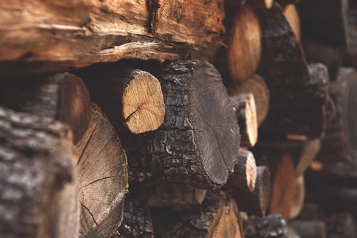 bark, chopped wood, dark, details, environment, firewood, fuel, logs, macro, nature, trunk, winter, wood, HD wallpaper