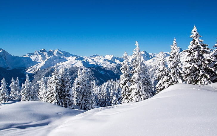 weißes und schwarzes konkretes Gebäude, Landschaft, Berge, Schnee, Wald, Winter, Bäume, HD-Hintergrundbild