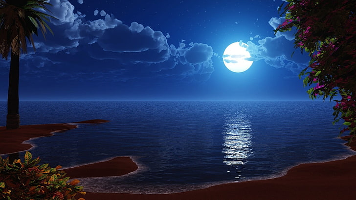 แหล่งน้ำและต้นมะพร้าวภูมิทัศน์งานศิลปะพระจันทร์ชายหาดทะเล, วอลล์เปเปอร์ HD
