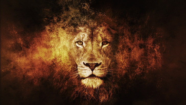 papier peint lion brun, lion, Fond d'écran HD