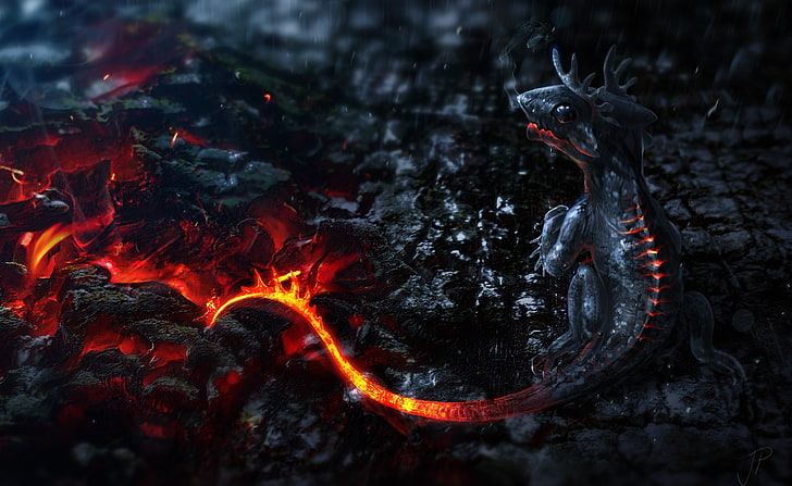Arte de salamandra, papel de parede de dragão cinza, artística, fantasia, salamandra, fogo, HD papel de parede