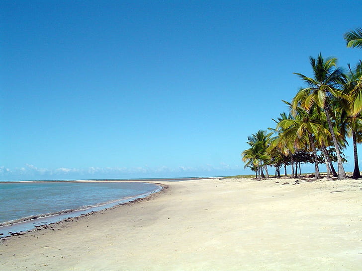 плаж Плаж Плажове красива природа HD, плажен бряг в близост до кокосови дървета, природа, плаж, красива, плажове, HD тапет