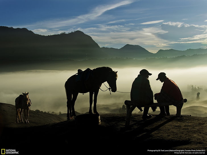 Horsemen-National Geographic Wallpaper HD wallpapers free download |  Wallpaperbetter