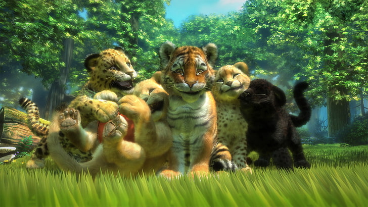 tiger, animals, the game, predators, Leo, Panther, art, leopard, kittens, Cheetah, kids, friends, lion, HD wallpaper