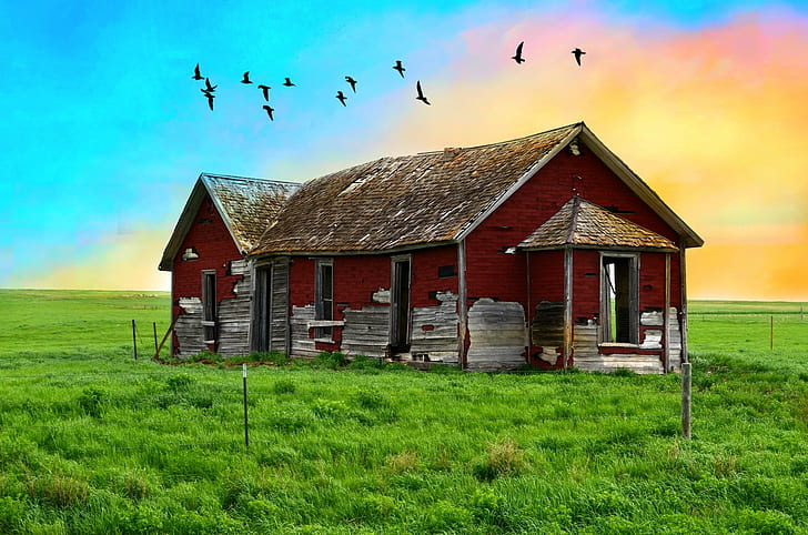 brunt och grått hus, fortfarande står, brunt, grått hus, Creative Commons, samarbete, övergiven hus, tomt, ledigt, gård, natur, landsbygdsscen, himmel, gräs, utomhus, HD tapet