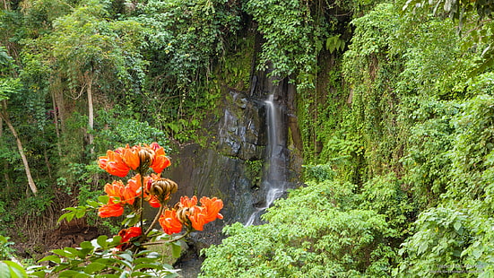 Tropisches Bali, Indonesien, Asien, HD-Hintergrundbild HD wallpaper