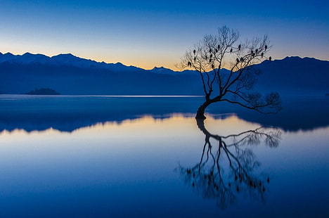природа, пейзаж, спокойствие, синий, вода, деревья, озеро, отражение, горы, птицы, закат, Новая Зеландия, HD обои HD wallpaper