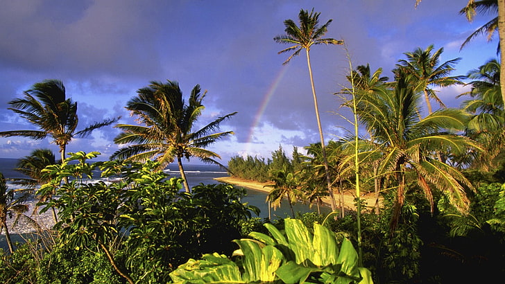 beaches, hawaii, kauai, parks, HD wallpaper