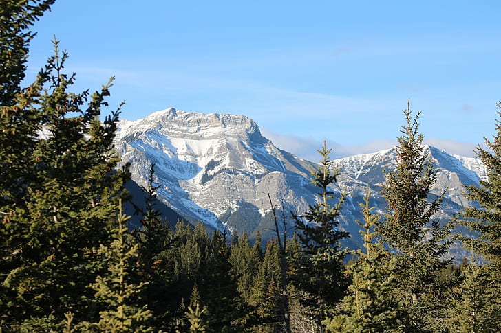 berg zwischen kiefern, schön, schön, schöne aussicht, durch die bäume, auf meinem weg, weiter, lage, berg, kiefern, kamera, kanada, natur, schnee, landschaft, baum, landschaftsbilder, draußen, wald, HD-Hintergrundbild