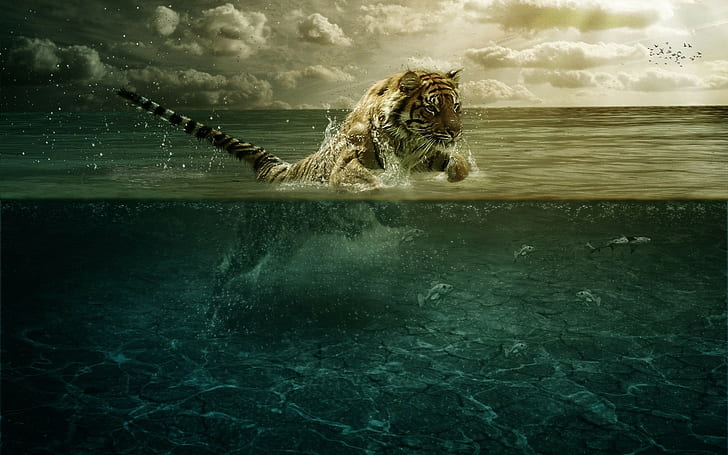 Anime, Fisch, digitale Kunst, Springen, Split View, Meer, Tiger, Tiere, Atmosphäre, Katze, große Katzen, Wasser, HD-Hintergrundbild