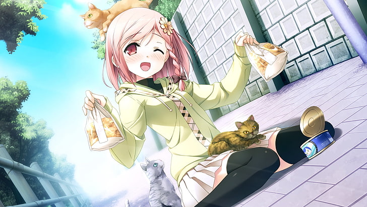 pink-haired female anime character digital wallpaper, kantoku, your diary, yua, girl, delighted, cats, HD wallpaper
