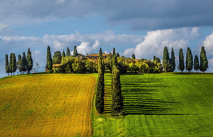 緑の葉の木、トスカーナ、イタリア、フィールド、木、村、雲、春、緑、自然、風景、 HDデスクトップの壁紙
