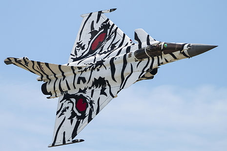 Jet Fighters, Dassault Rafale, Pesawat, Jet Fighter, Warplane, Wallpaper HD HD wallpaper
