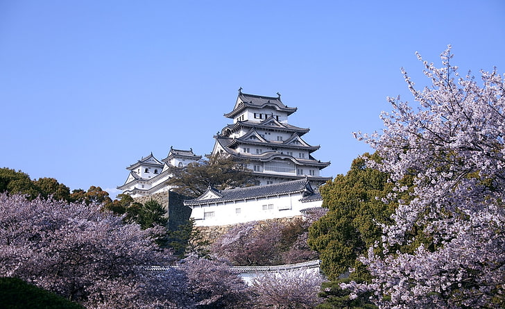Himeji Castle And Cherry Blossoms HD Wallpaper, white and black pagoda building, Seasons, Spring, Asia/Japan, Nature, Cherry, Castle, Photography, Japan, Season, Blossoms, cherry blossoms, himeji castle, HD wallpaper