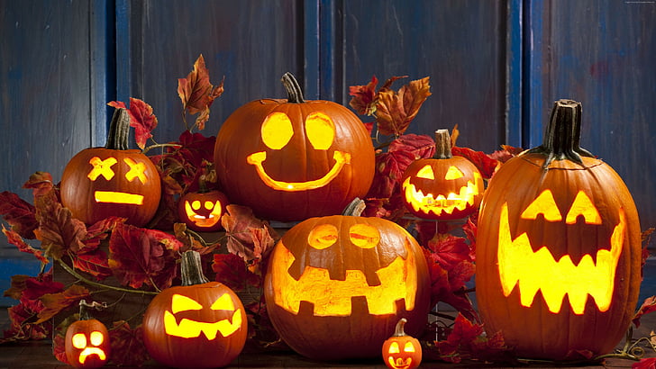 halloween, pumpa, calabaza, dekoration, cucurbita, jack o lantern, HD tapet