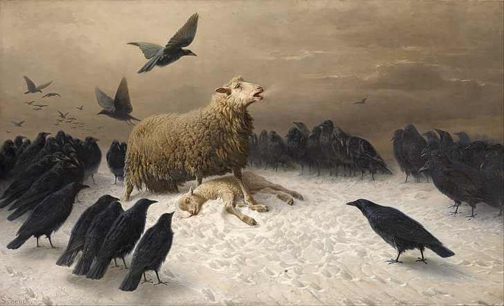 painting of lamb surrounded by ravens, Albrecht Schenck, painting, sheep, birds, classic art, crow, HD wallpaper
