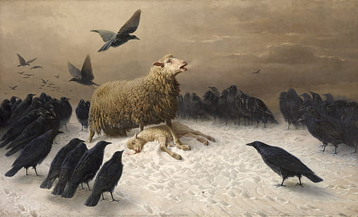 peinture d'agneau entouré de corbeaux, Albrecht Schenck, peinture, mouton, oiseaux, art classique, corbeau, Fond d'écran HD HD wallpaper