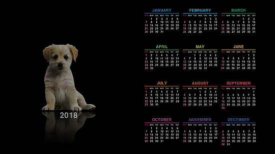 ปฏิทิน 2018, ปฏิทิน, ลูกสุนัข, สุนัข, วอลล์เปเปอร์ HD HD wallpaper
