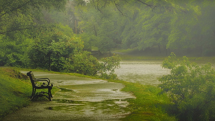 rain, green, water, bank, vegetation, tree, raining, bench, rainy, grass, HD wallpaper
