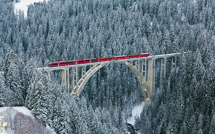 red train, nature, landscape, winter, bridge, train, forest, river, Switzerland, cold, snow, trees, HD wallpaper