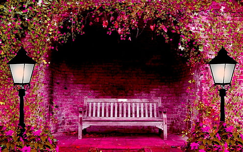 ピンクの春の庭、ライト、ベンチ、春の庭、ピンク、アーチ、花、3 dおよび抽象、 HDデスクトップの壁紙 HD wallpaper