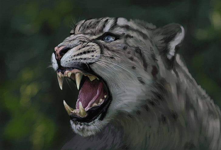 gray panther illustration, cat, predator, head, art, mouth, leopard, IRBIS, wild, HD wallpaper