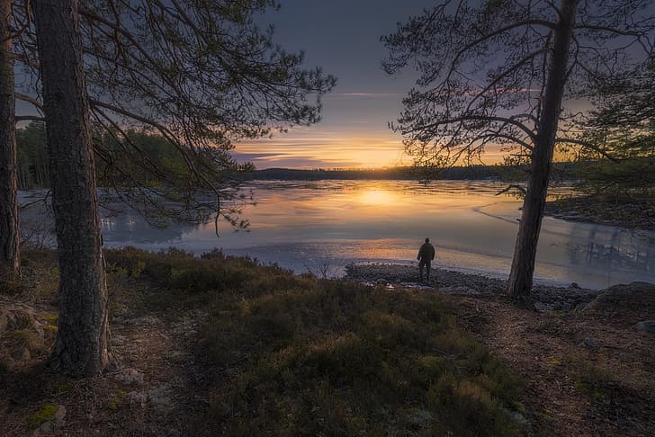 trees, sunset, lake, people, Norway, pine, RINGERIKE, HD wallpaper