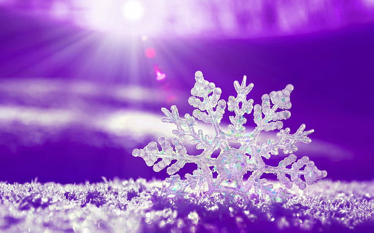close up photo of snowflake against sunlight, Snowflake, close up, photo, sunlight, holiday, New Years, Snow  Flake, decoration, defocused, snow, christmas, blue, winter, backgrounds, season, HD wallpaper