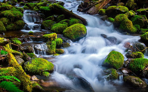 Пейзажни планински речни камъни със зелена мъх пяна вода HD тапет за лаптоп и таблет 2560 × 1600, HD тапет HD wallpaper