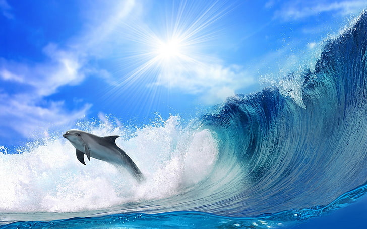 black dolphin illustration, The OCEAN, The SKY, The SUN, WAVE, RAYS, FOAM, FISHING, DOLPHIN, HD wallpaper