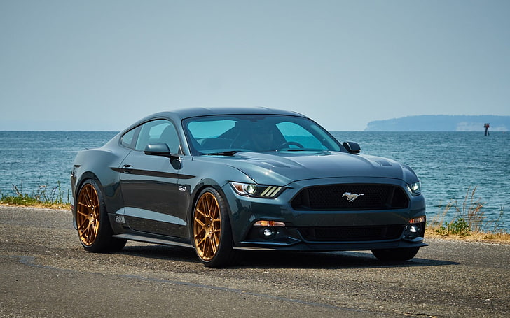 Ford Mustang noir coupé, gué, mustang, se1, bleu, vue de côté, Fond d'écran HD