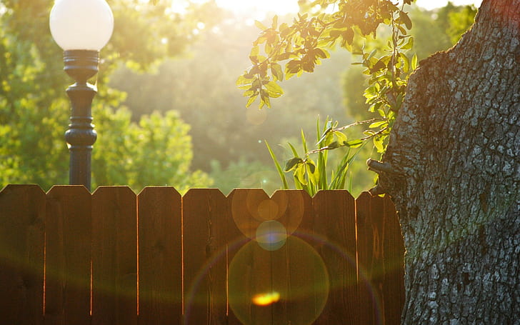 suar lensa, pagar, lampu jalan, pohon, sinar matahari, Wallpaper HD