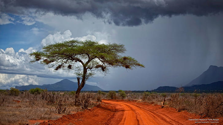 Parque Nacional Tsavo East, Kenia, África, Fondo de pantalla HD