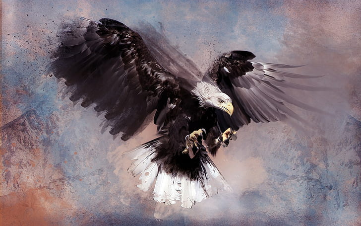 ilustraciones, pájaros, águilas, animales, Fondo de pantalla HD