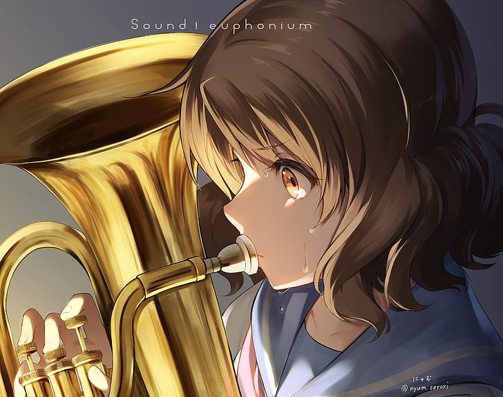 Hibike!Euphonium, Oumae Kumiko, braunes Haar, Anime, HD-Hintergrundbild